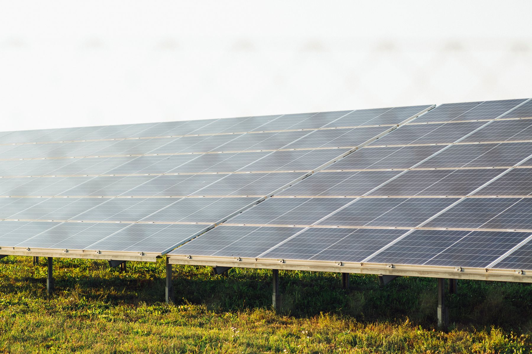 Solar panels above a grass field